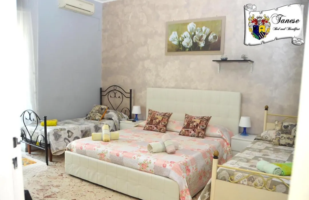 B&B Tanese-1