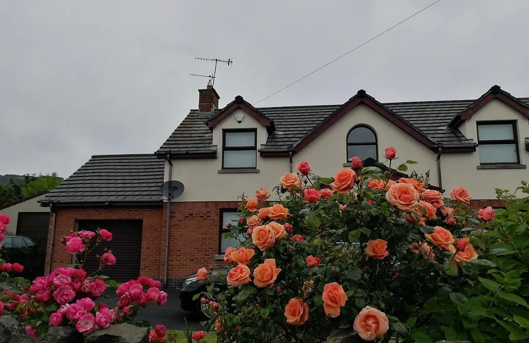 Fox Heaven B&B-1