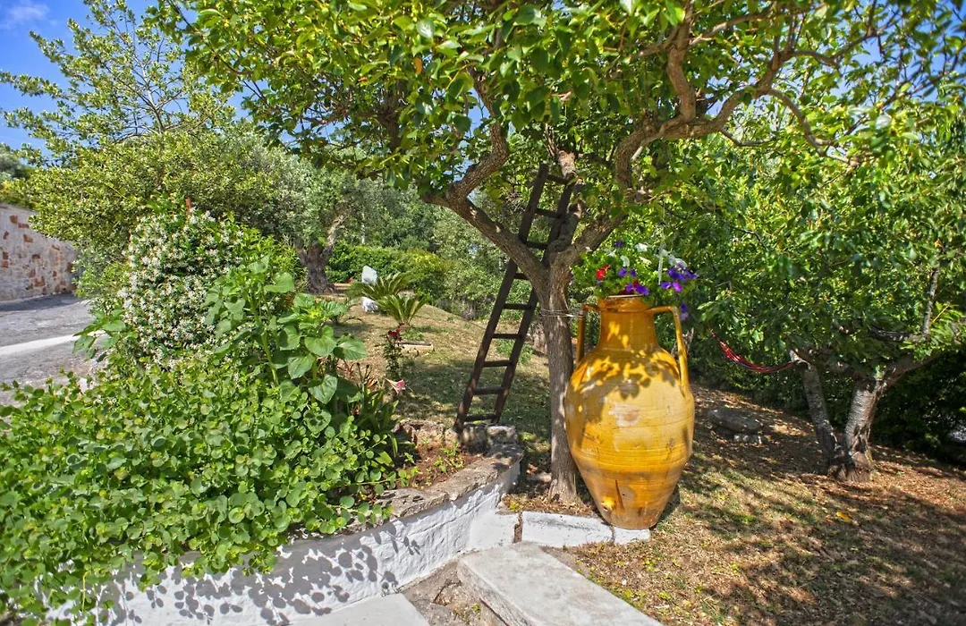 B&B Il Brigante-1