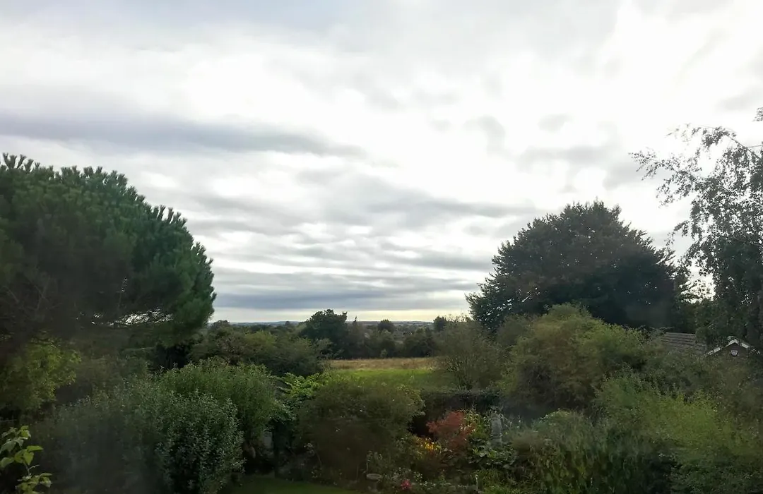 Holly House B&B-1