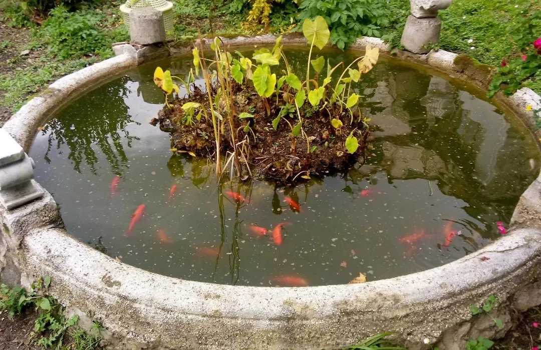 L'antico Giardino-1