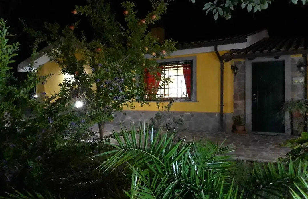 La Camelia B&B-1