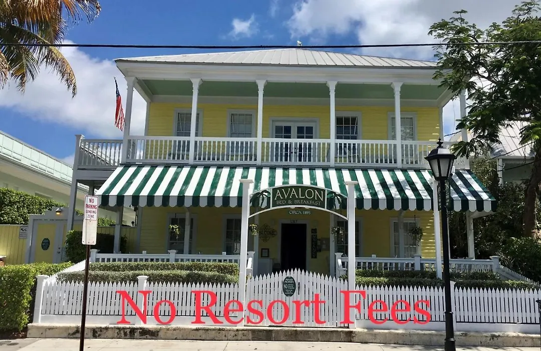 Avalon Bed And Breakfast (Adults Only)-1