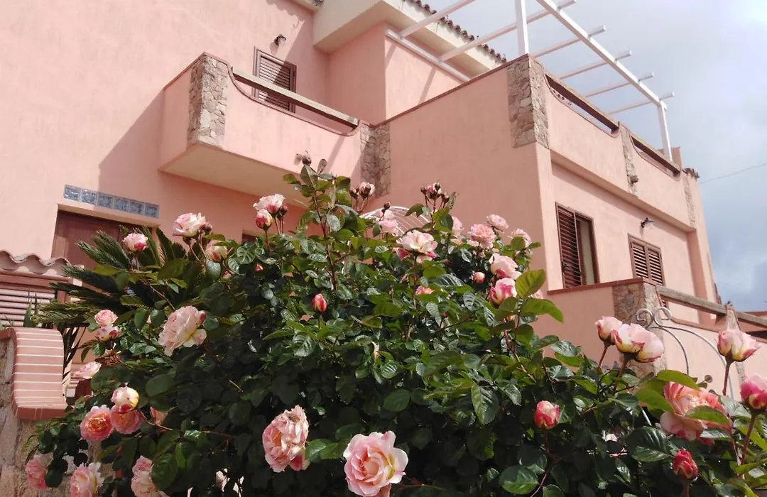 The Roses Garden-1