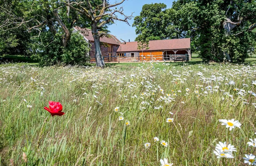 South Park Farm Barn-1