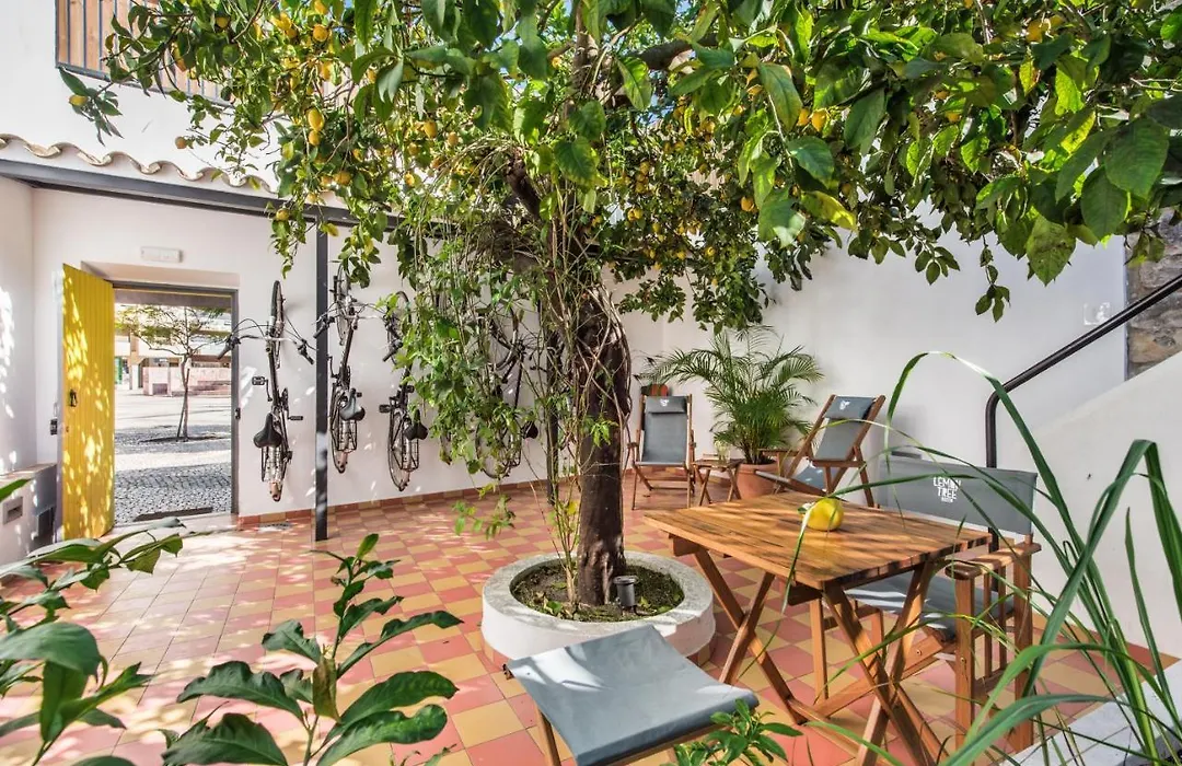 Lemon Tree Stay-1