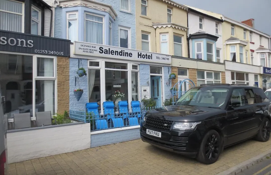 The Salendine-1
