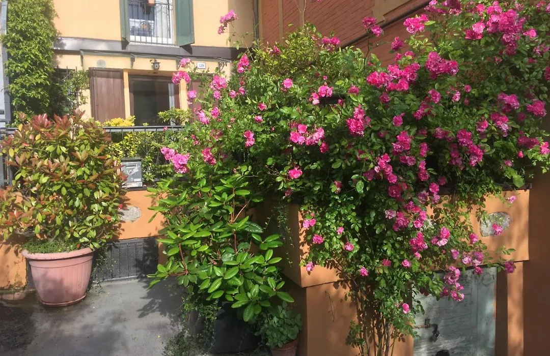 B&B Monte Donato-1