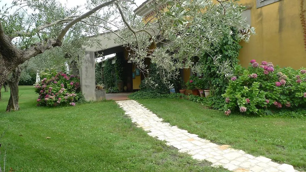 Le Ninfee-1