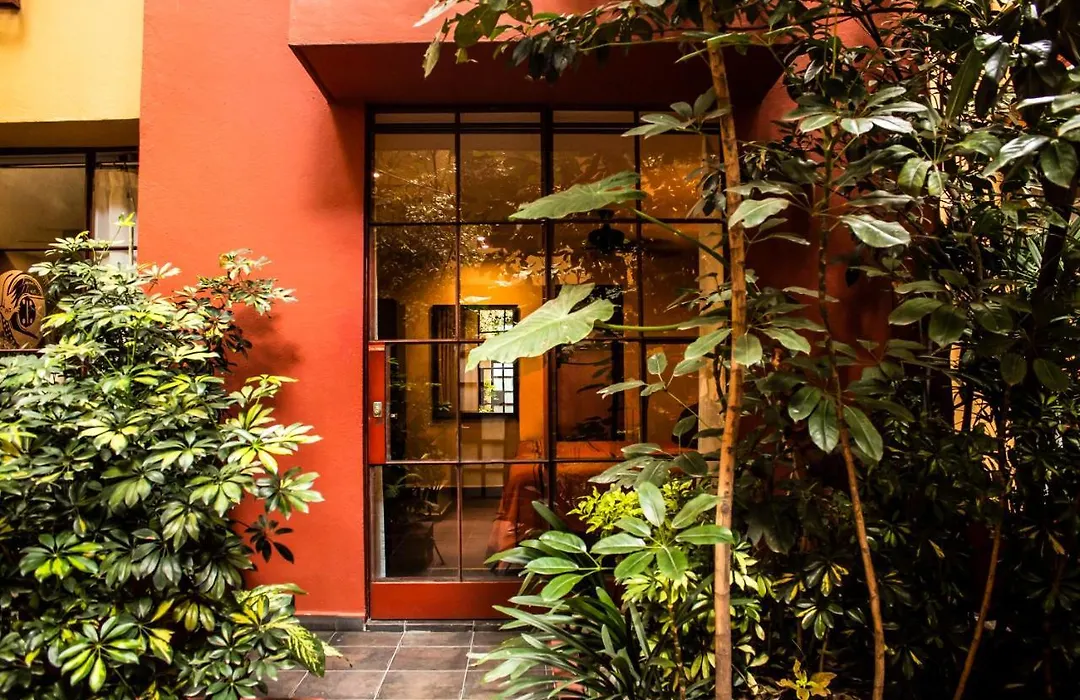 The Red Tree House-1