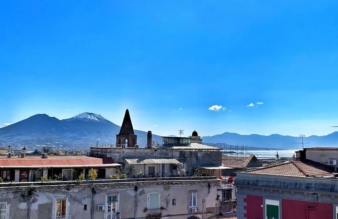 Bellini View-1