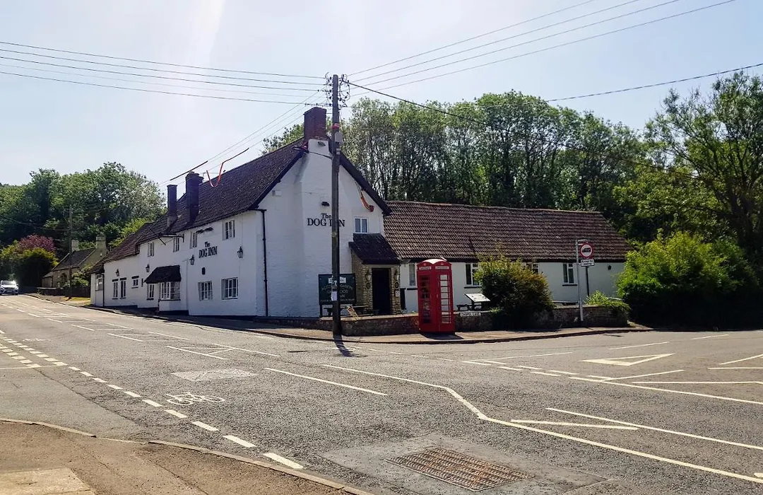 The Dog Inn-1