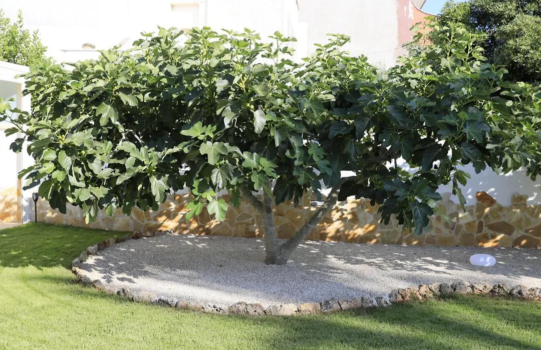 A Casa Di Sofia-1