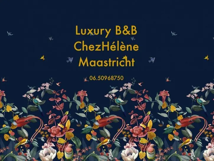 Chez Helene Luxury Bnb-1