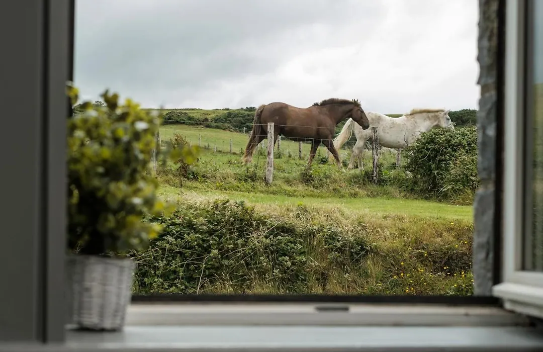 The Lodge Doolin-1