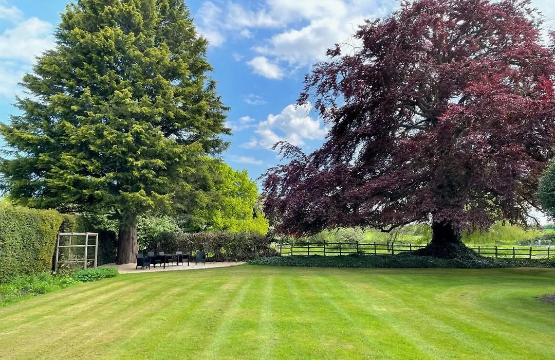 Croxton House B&B-1