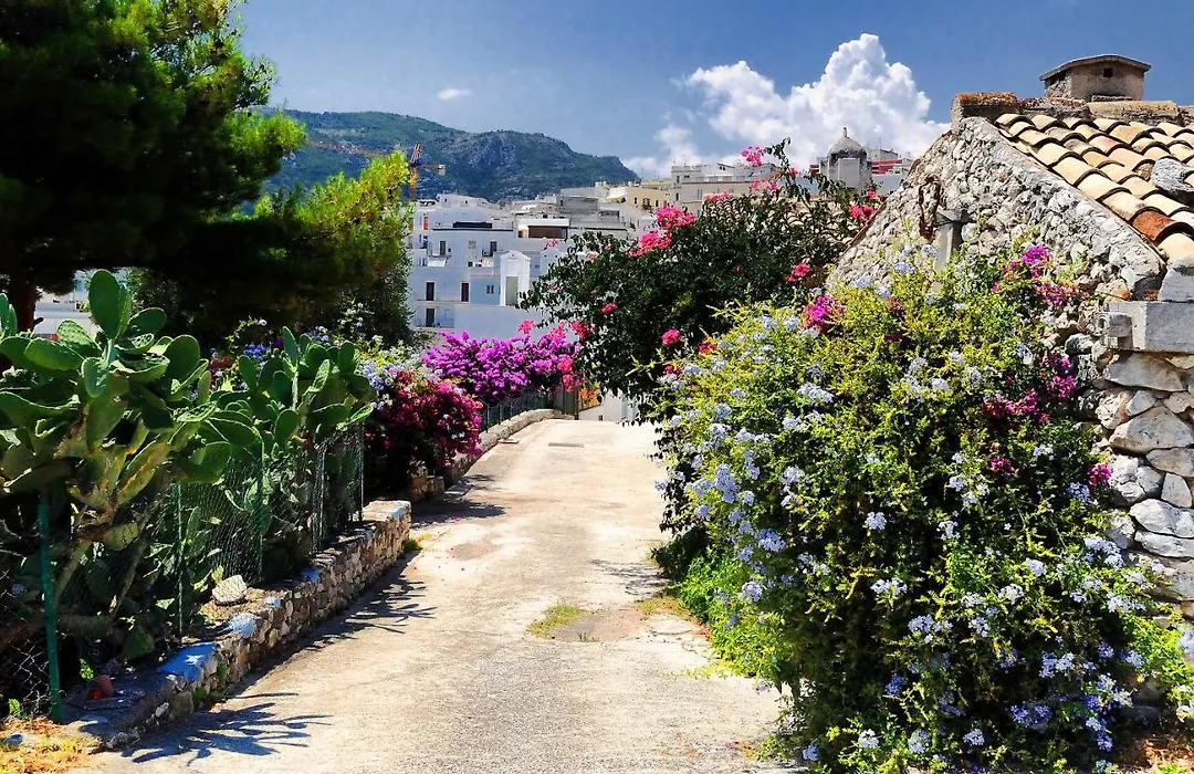 Apulia Bed&Breakfast-1