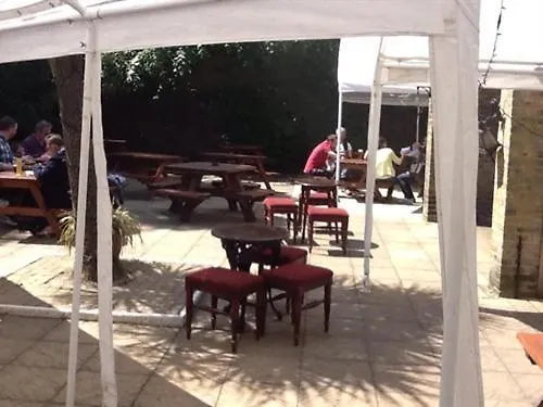 The Forester Ealing-1