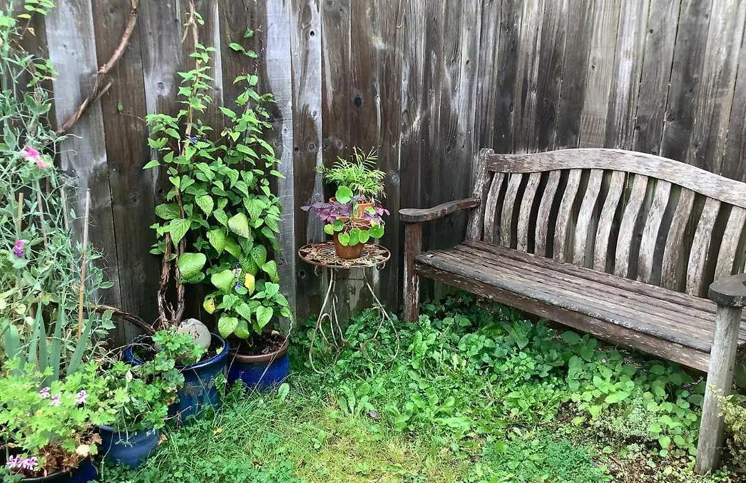 Primrose Villa Self Catering Bnb-1