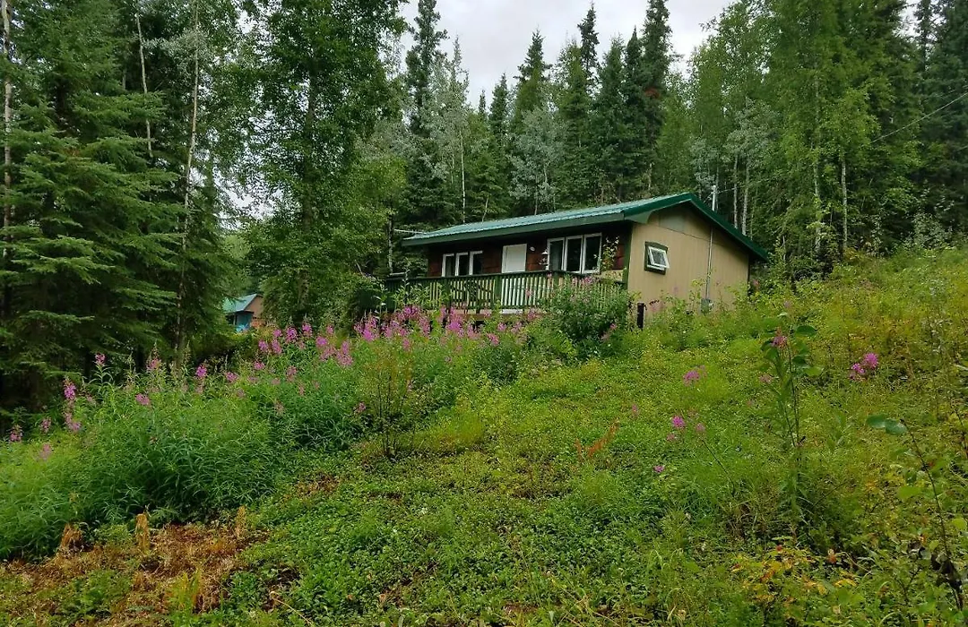 Northwoods Cottage Bed And Breakfast-1