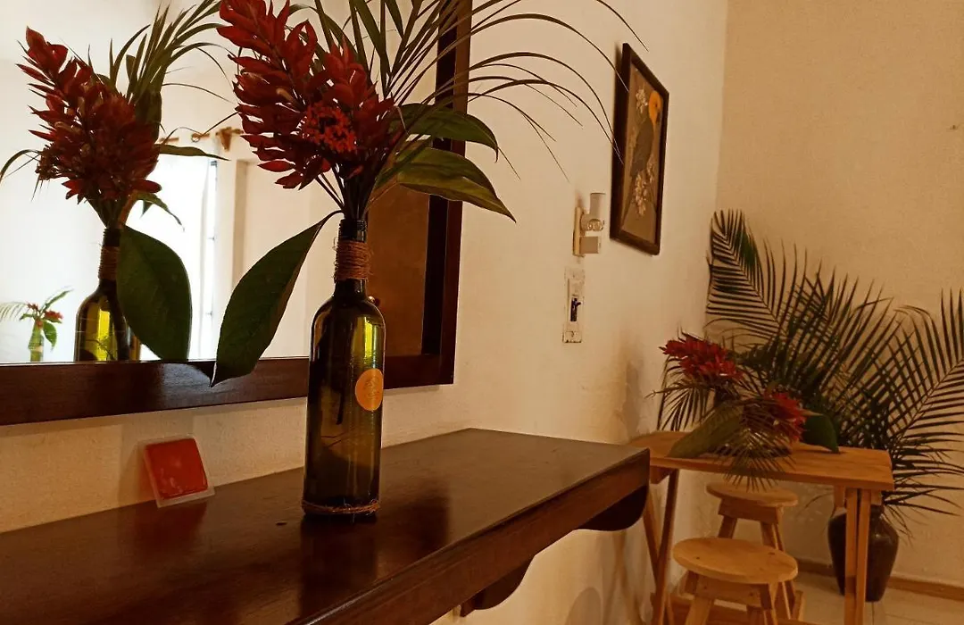 Casa De Los Pajaros - B&B-1