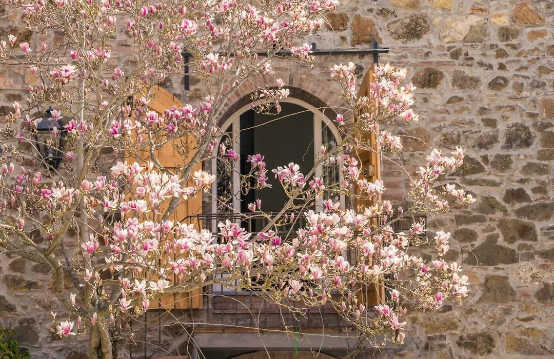 La Magnolia-1