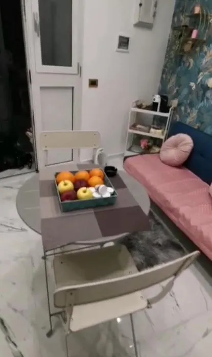 La Camera-1