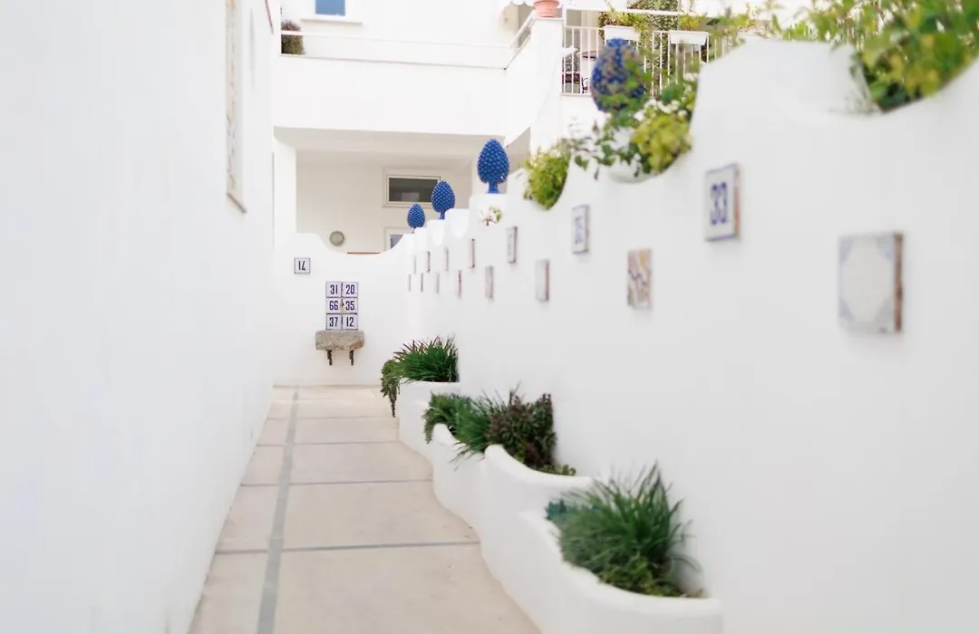 La Pigna Blu-1