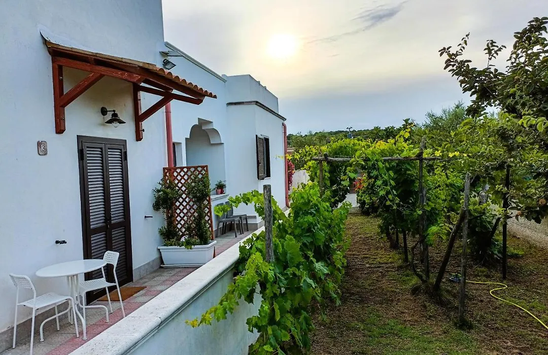 Il Giunco B&B-1