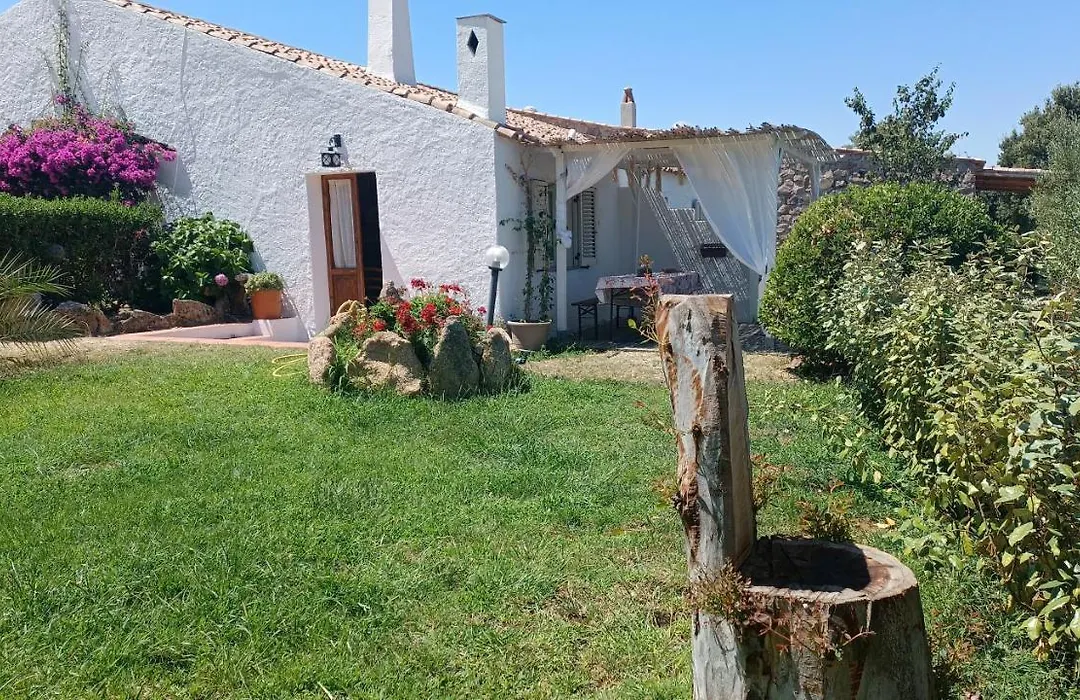 B&B Bedda Ista-1