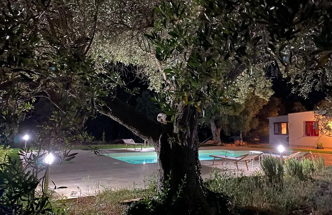 le radici-1