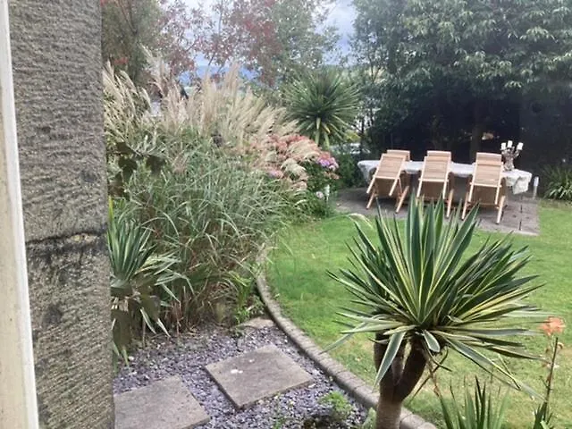 Brynffynnon Boutique Bed And Breakfast-1