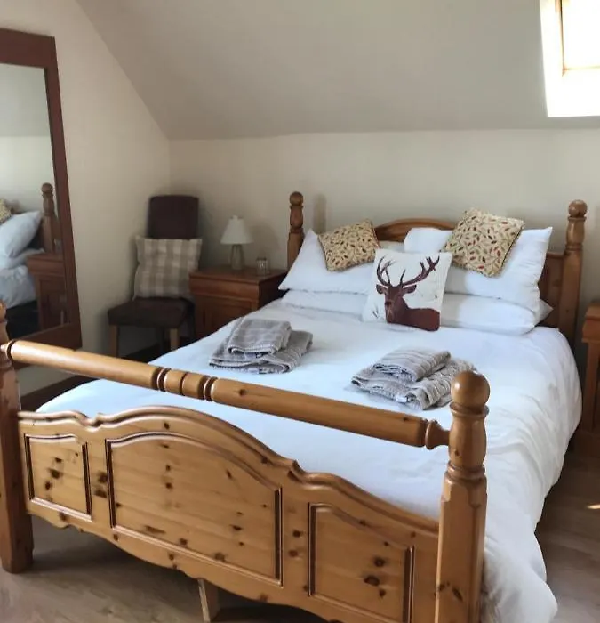 Druid View B&B-1