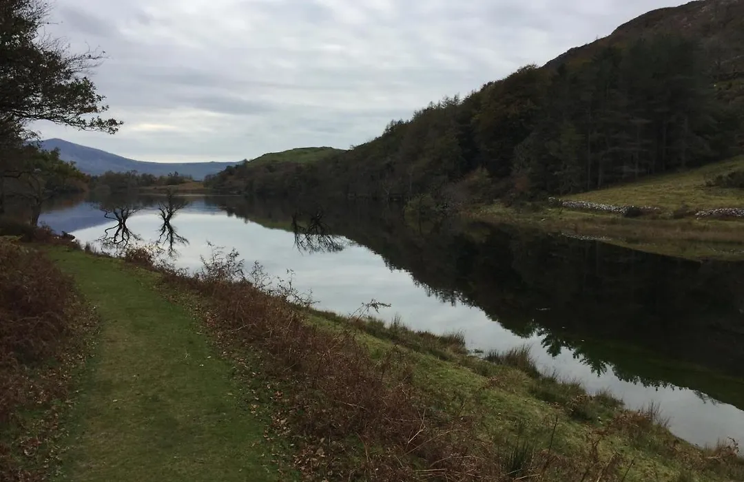 Lawrenny Lodge-1