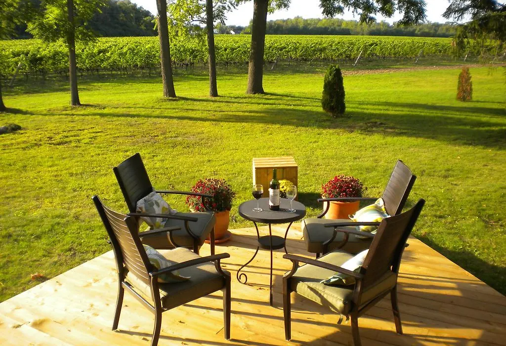 Vineyard Villa-1