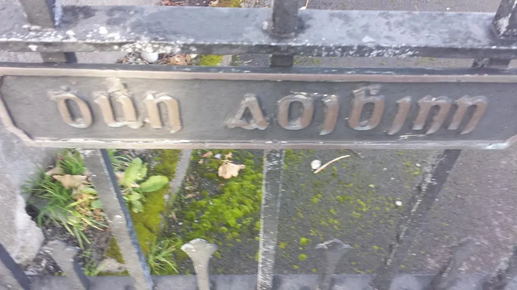 Dun Aoibhinn Guest Accommodation-1