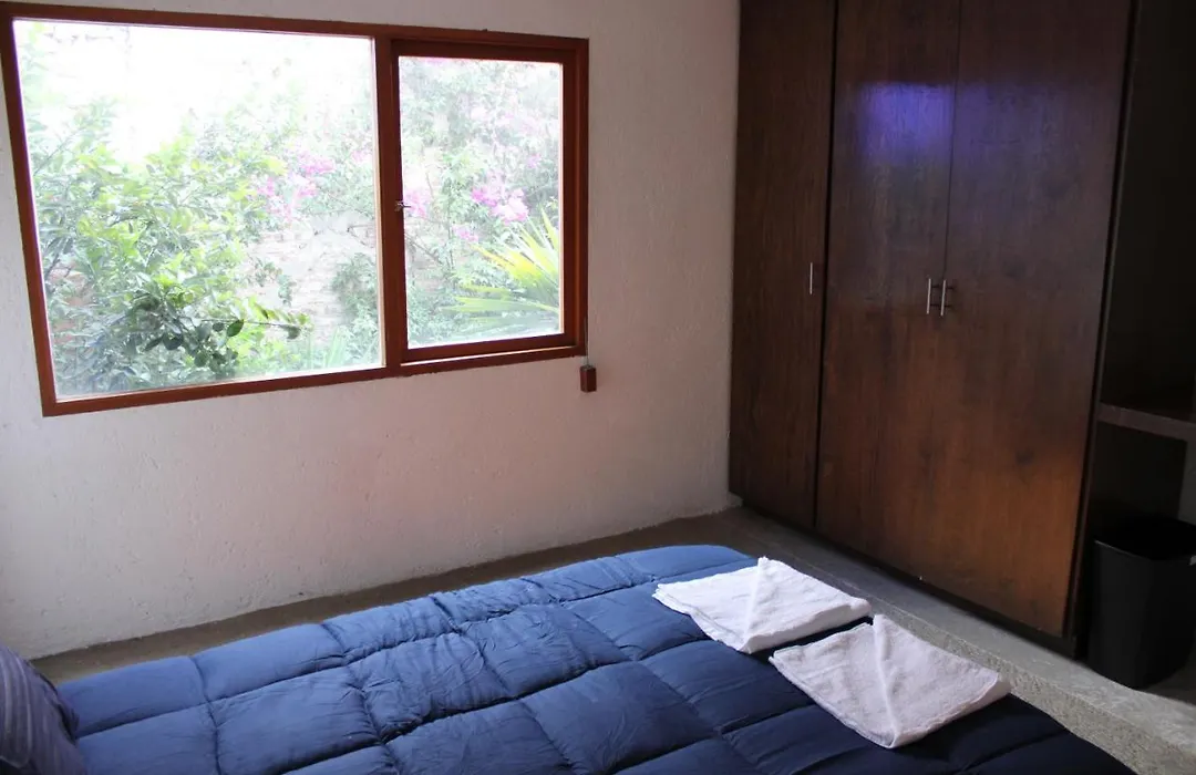 Casa Frida Coyoacan-1