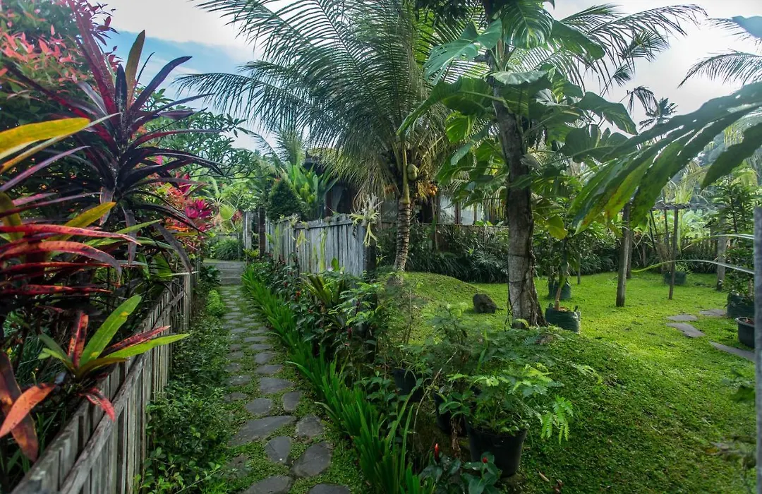 Ubud Luwih Nature Retreat-1