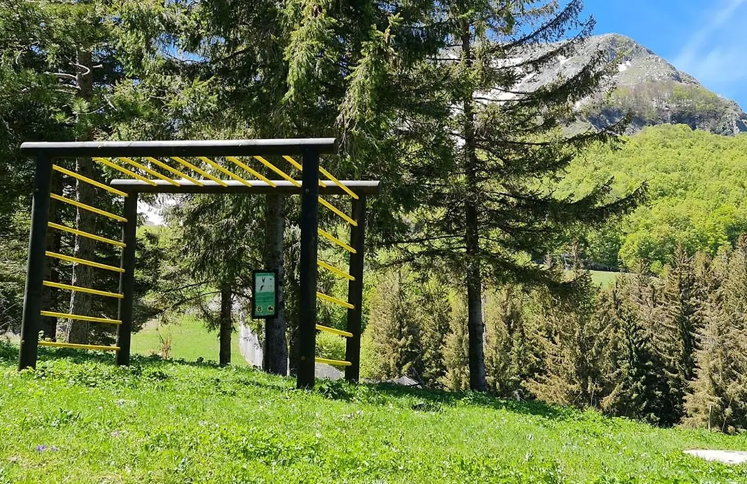 La Pinetina-1