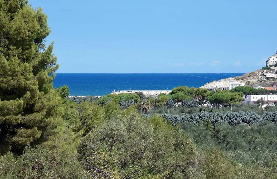 Vacanze Top-1