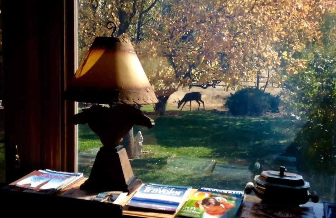 Sundance Suite - Prairie Rose Bed & Breakfast-1