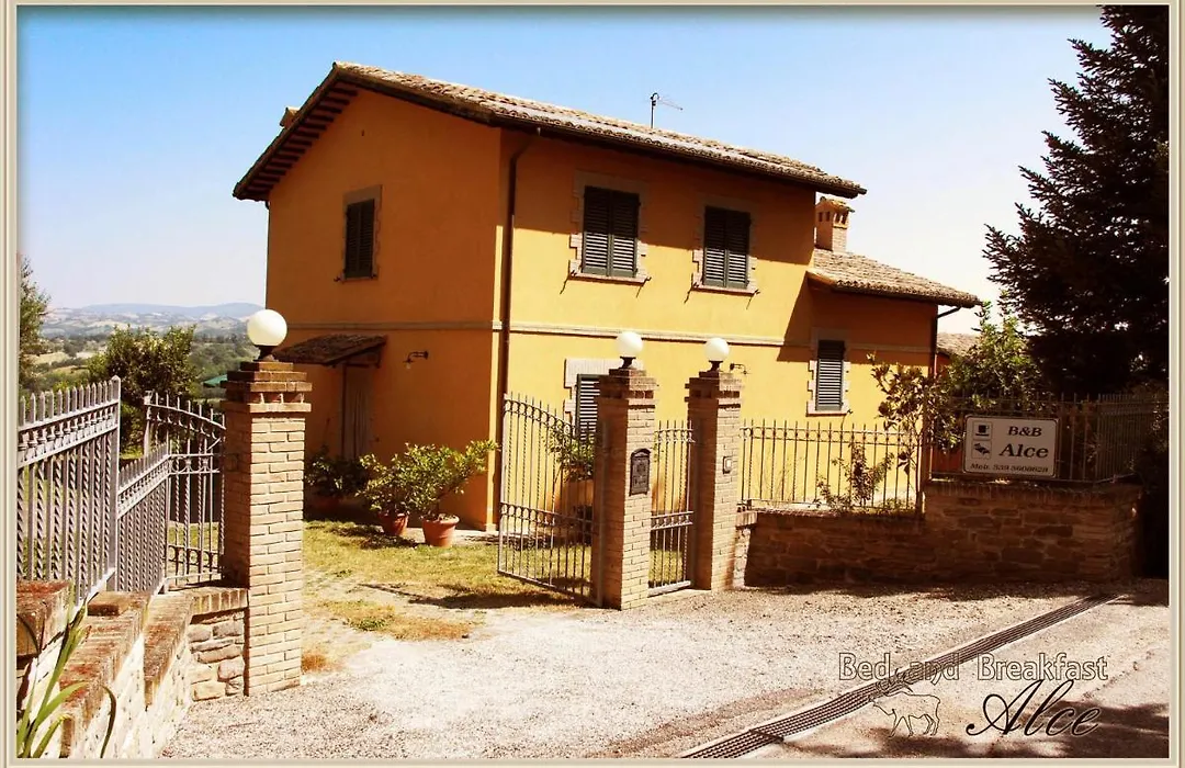 B&B Alce-1