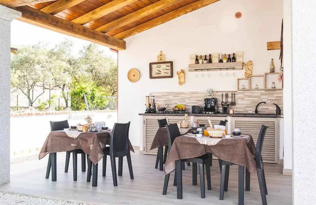 B&B Gonare-1