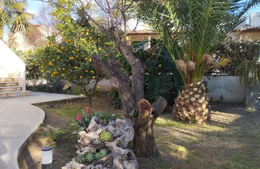 Casa Cunaci Bed And Breakfast-1