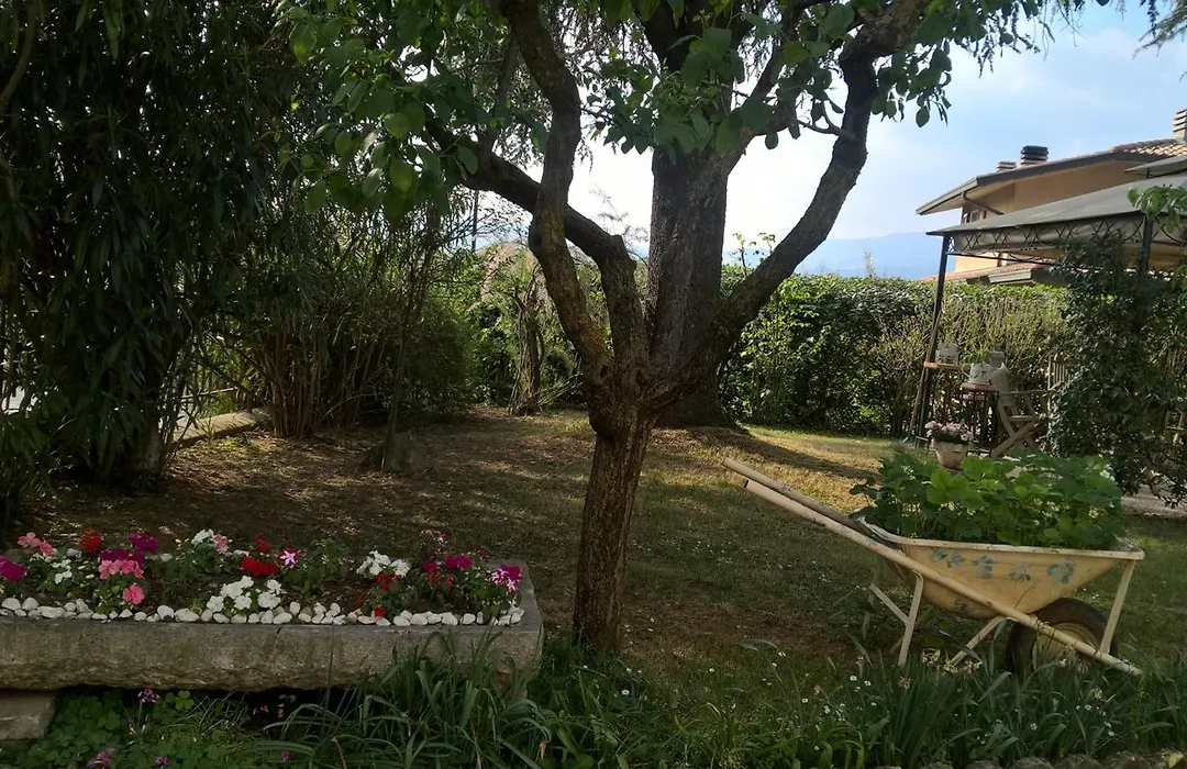 B&B Il Glicine-1