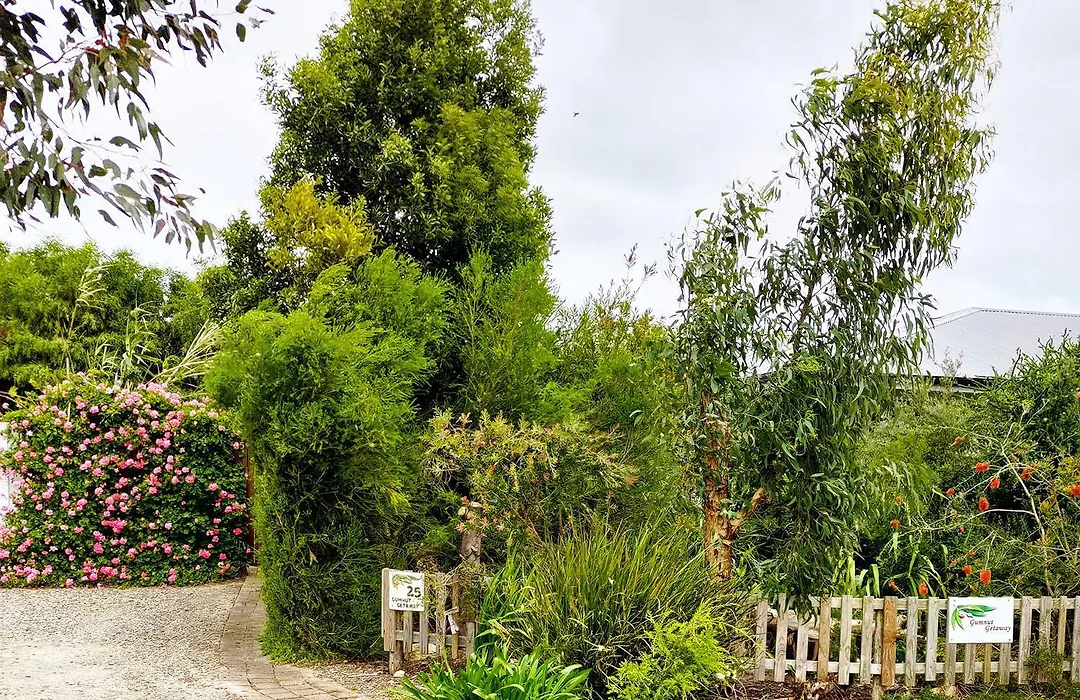 Gumnut Getaway Bnb-1