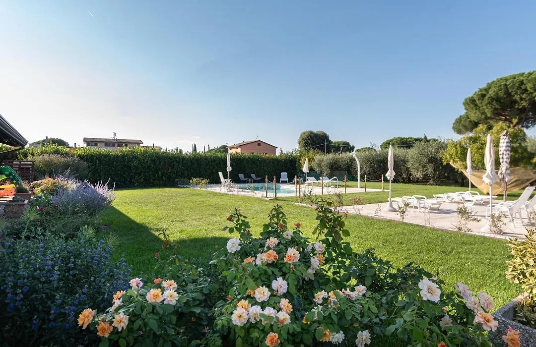 Rosa di Assisi-1