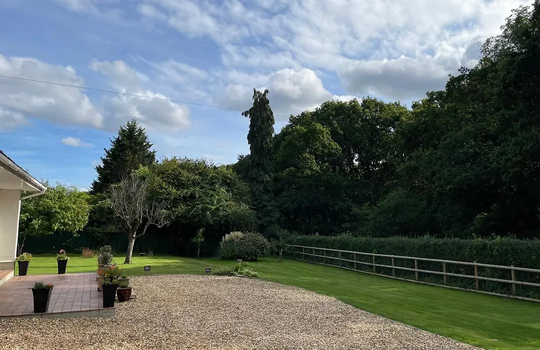 Woodland House B & B-1