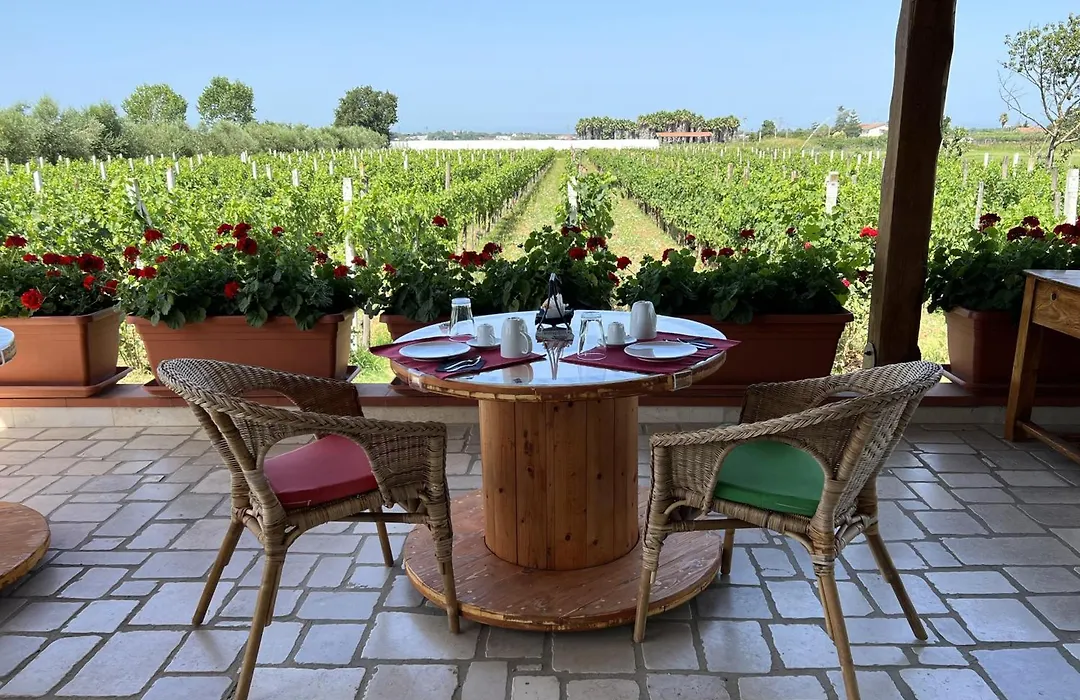 B&B Vigna Di Filippo - Paestum-1