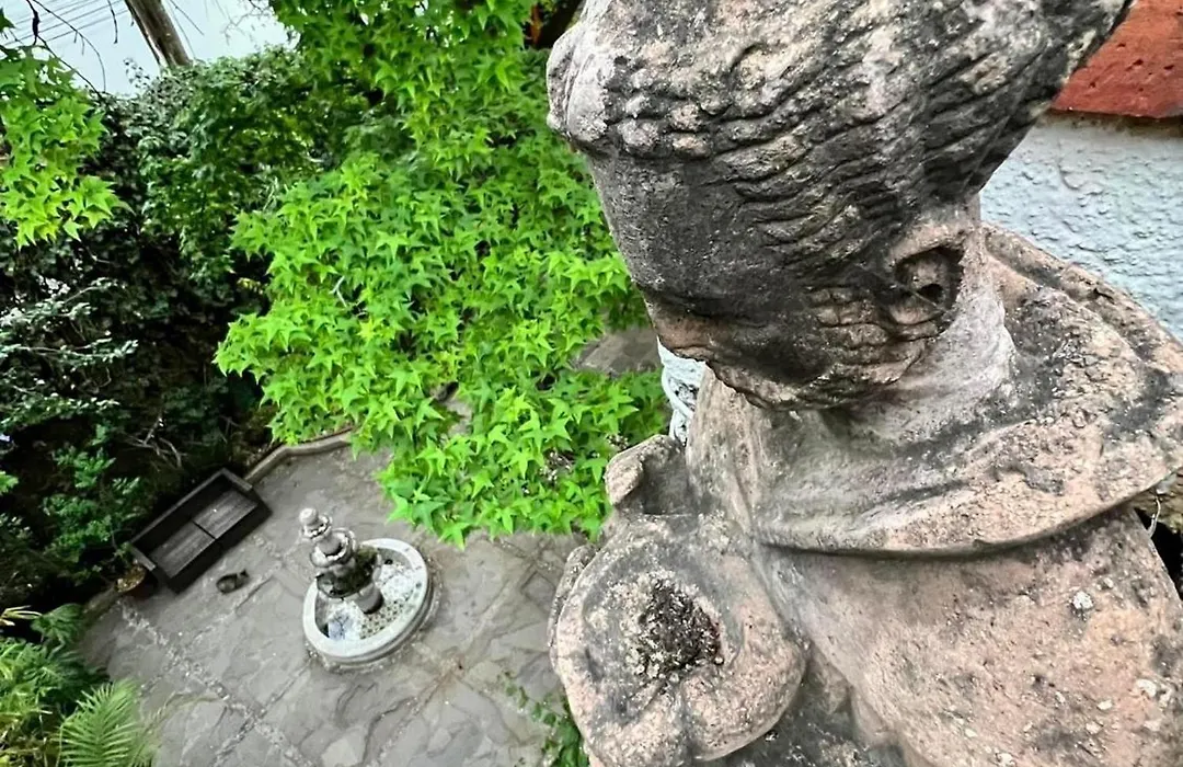 Boutique Hotel And Gallery In San Angel Inn-1